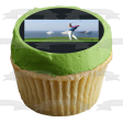 Ea Sports Pga Tour Golfer Edible Cake Topper Image ABPID57516 Online