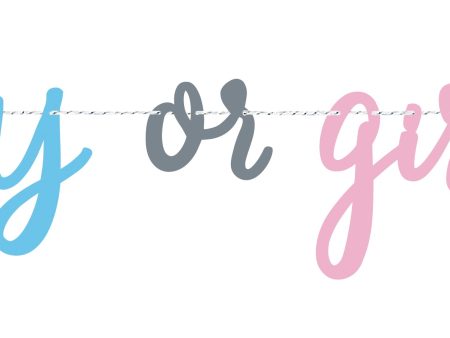 Blue or Pink Gender Reveal Banner, 7ft For Cheap