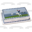 Ea Sports Pga Tour Golfer Edible Cake Topper Image ABPID57516 Online