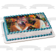 La Usurpadora, The Musical Valeria Edible Cake Topper Image ABPID57584 Online Hot Sale