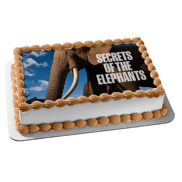 Secrets of the Elephants Edible Cake Topper Image ABPID57582 Hot on Sale