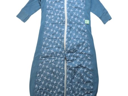 ErgoPouch Sleep Suit Bag 2T - 4T (2.5 TOG) For Discount