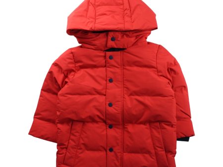 Jacadi Puffer Coat 2T Supply