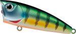 Daiwa Steez Popper Lure Hot on Sale