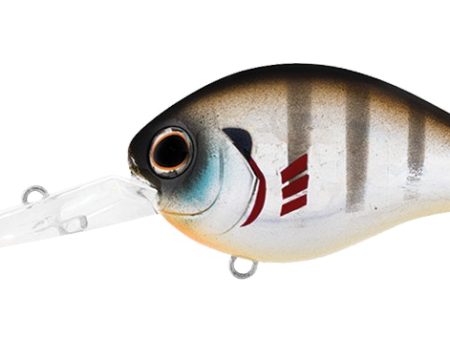 Daiwa Steez RPM Crank Mid-10 Lure For Cheap