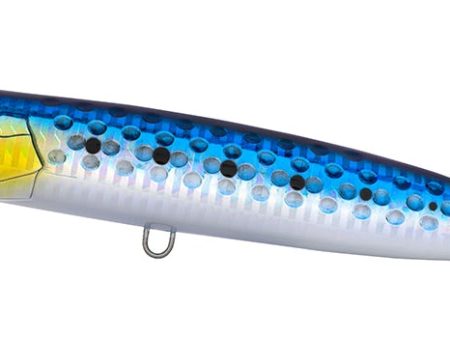 Daiwa Shore Spartan Power Splash Lure on Sale