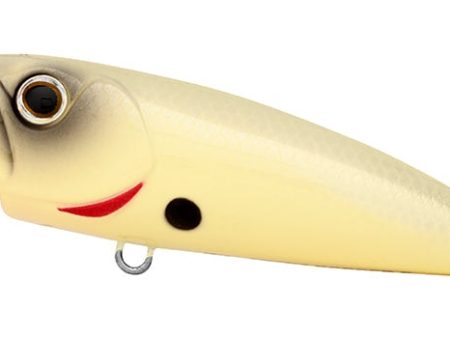 Daiwa Steez Popper Lure Hot on Sale