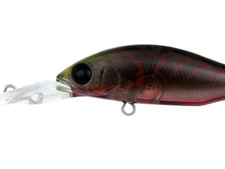 Daiwa Infeet Spike 44MR Hard Body Lure Discount