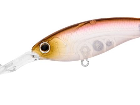 Daiwa Steez Shad 60SP DR Lure Discount