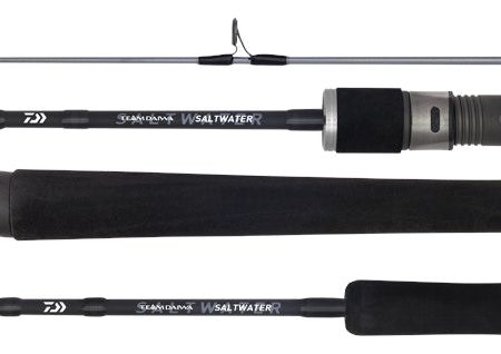 Daiwa 20 TD Saltwater Spin Fishing Rods For Discount