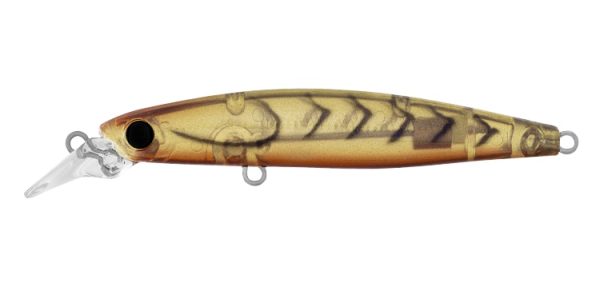 Daiwa Infeet Sazanami 60SP Lure For Sale