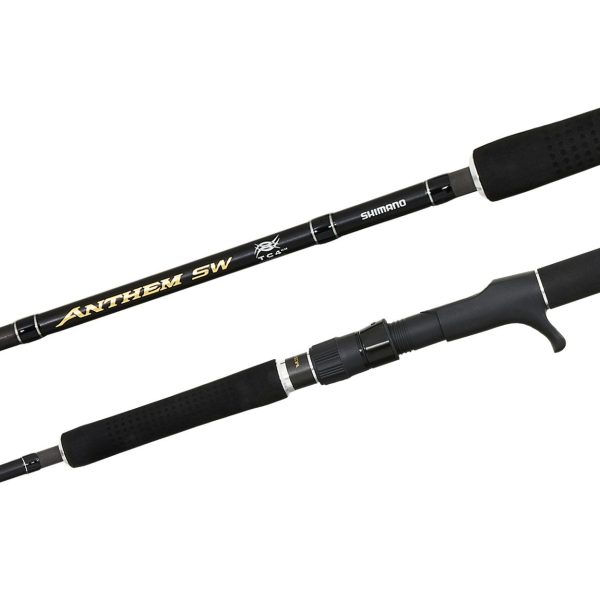 Shimano Anthem SW Spin Fishing Rods Hot on Sale