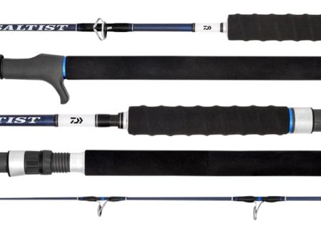 Daiwa 20 Saltist Hyper Jig Overhead Fishing Rods Hot on Sale