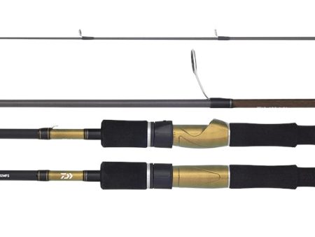 Daiwa 20 AIRD X Spin Fishing Rods For Discount