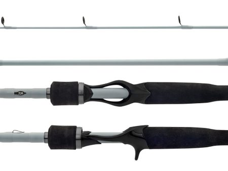 Daiwa 19 TD Hyper Baitcaster Fishing Rods Sale