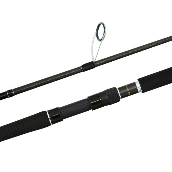 Shimano Anthem SW Overhead Fishing Rods Online Hot Sale