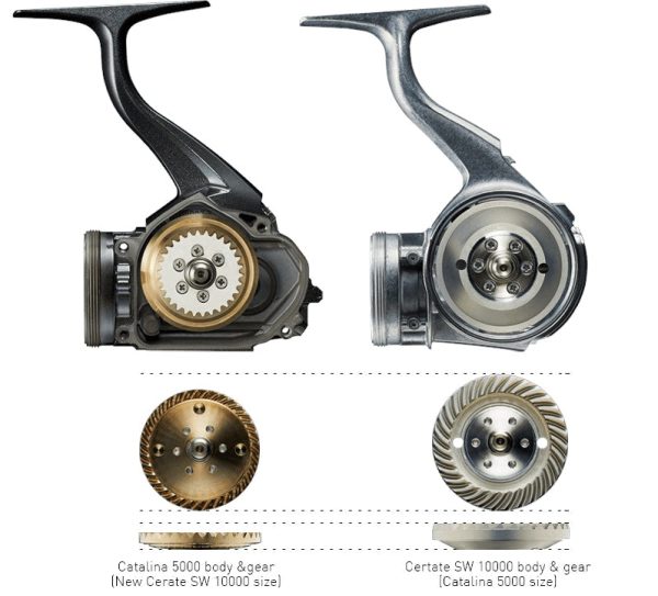 Daiwa 21 Certate SW Spin Fishing Reels Online